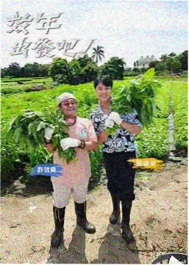 中国手机电影网环境声素材包预览